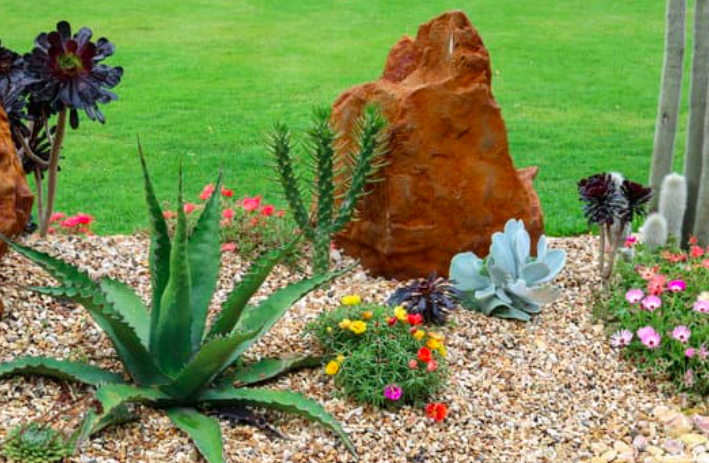 this is a picture of Costa Mesa landscaping services
