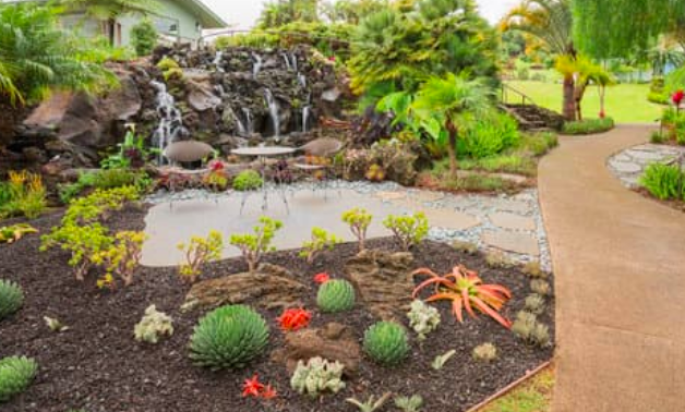 this is a picture of landscaping services in Costa Mesa, CA