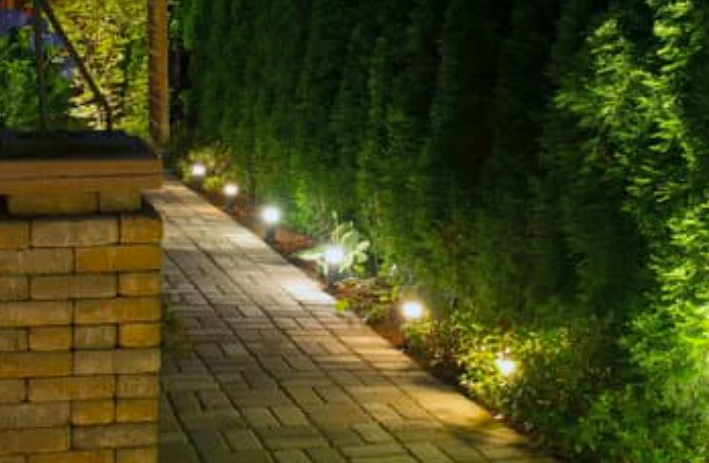 this is a picture of low voltage outdoor lighting in Costa Mesa, CA